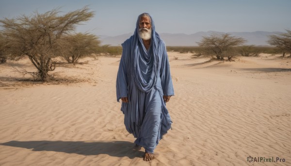 solo,looking at viewer,long sleeves,1boy,standing,full body,male focus,outdoors,barefoot,day,hood,tree,mask,shadow,facial hair,cloak,beard,walking,robe,realistic,arms at sides,bald,old,old man,desert,parody,sand