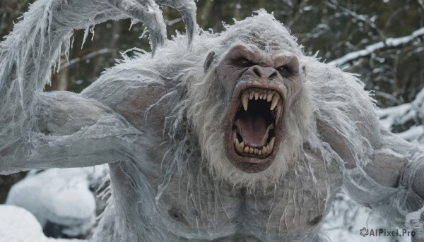 solo,looking at viewer,open mouth,1boy,outdoors,teeth,tongue,blurry,tree,no humans,blurry background,fangs,sharp teeth,claws,snow,monster,realistic,red eyes,upper body,colored sclera,branch,bare tree,horror (theme),grey theme