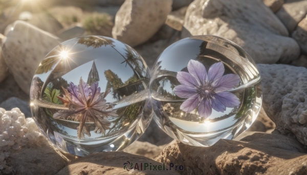 flower,outdoors,sky,day,blurry,tree,no humans,sparkle,depth of field,leaf,sunlight,scenery,reflection,crystal,rock,fantasy,purple flower,still life,cloud,blurry background,glint,globe