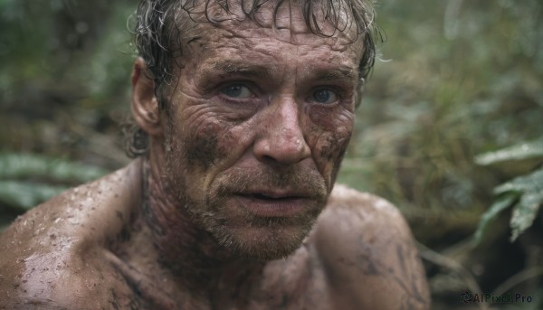 solo,looking at viewer,black hair,1boy,closed mouth,male focus,outdoors,blurry,black eyes,blurry background,facial hair,portrait,nature,beard,realistic,dirty,short hair,blue eyes,nude,grey eyes,depth of field,close-up