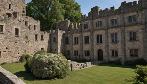 outdoors,sky,day,tree,blue sky,no humans,window,shadow,grass,building,nature,scenery,rock,bush,wall,ruins,house,path,moss