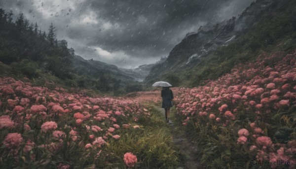 A striking rainy outdoors featuring the elegance of a female