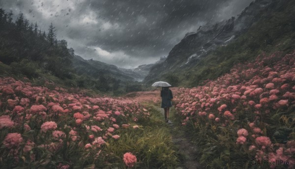 1girl, solo, black hair, holding, standing, flower, outdoors, sky, cloud, from behind, tree, umbrella, cloudy sky, nature, scenery, rain, holding umbrella, mountain, field, wide shot, flower field, grey sky, overcast