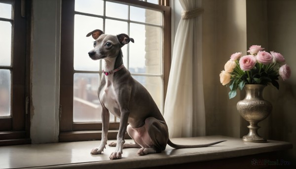 HQ,solo,flower,day,indoors,black eyes,collar,no humans,window,rose,animal,curtains,pink flower,dog,realistic,animal focus,pink rose,vase,tail,horns,plant,potted plant,red collar,animal collar