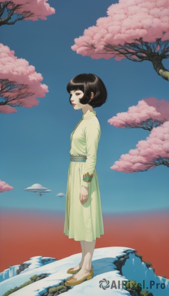 1girl,solo,short hair,brown hair,black hair,long sleeves,dress,standing,full body,outdoors,sky,shoes,day,cloud,black eyes,from side,tree,blue sky,makeup,sandals,bob cut,cherry blossoms,green dress,mountain,bangs,blue eyes,blunt bangs,water,lips,profile,lipstick,aircraft,red lips,yellow footwear,floating island