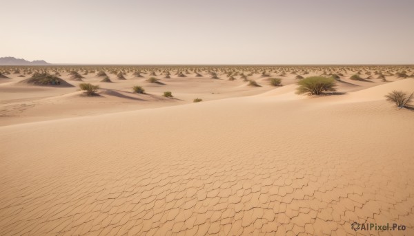 outdoors,sky,day,water,tree,no humans,beach,grass,nature,scenery,mountain,sand,road,landscape,shore,path,desert