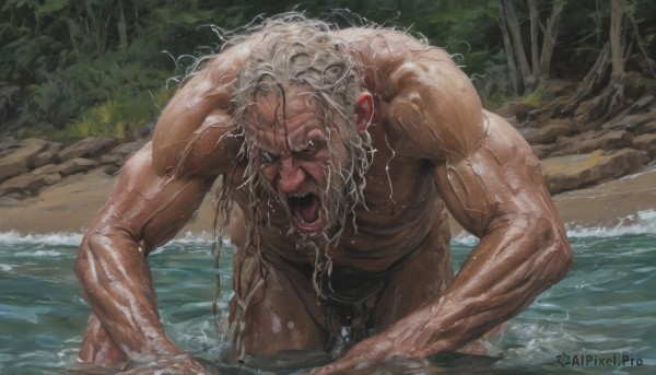 solo,looking at viewer,open mouth,1boy,white hair,grey hair,male focus,outdoors,teeth,water,tree,wet,muscular,facial hair,muscular male,nature,beard,wading,topless male,rock,realistic,mustache,wet hair,manly,old,old man,short hair,nipples,nude,tongue,tongue out,leaning forward,ocean,beach,abs,pectorals,all fours,messy hair,partially submerged,veins,wide-eyed,waves,screaming,wrinkled skin