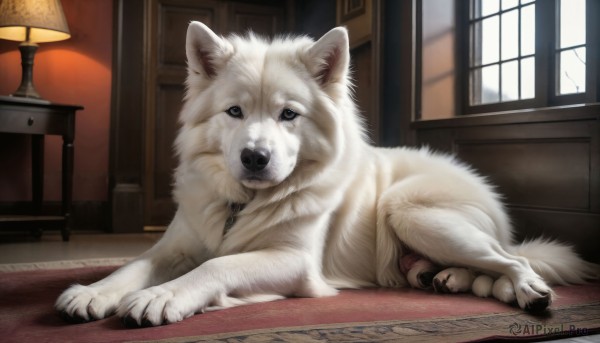 A dog amidst a idyllic window