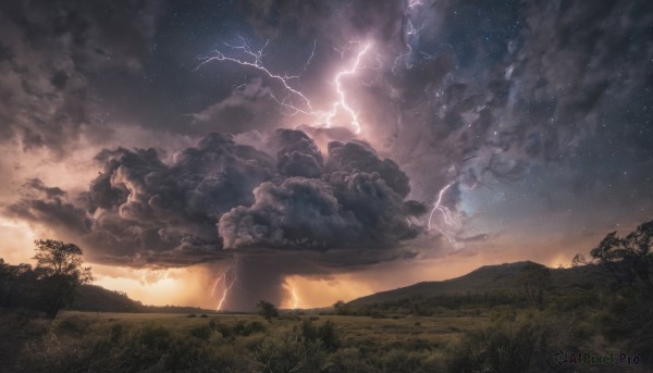 outdoors, sky, cloud, tree, no humans, night, cloudy sky, grass, star (sky), night sky, scenery, starry sky, lightning