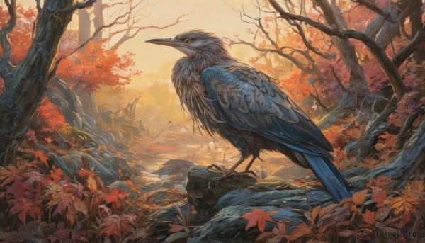 A graceful unique subject captured in sunset day