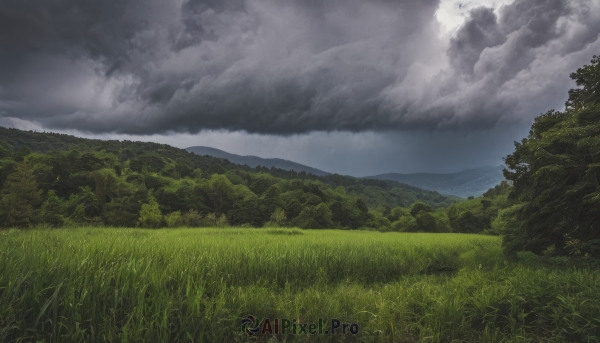 outdoors,sky,day,cloud,tree,no humans,cloudy sky,grass,nature,scenery,forest,mountain,field,landscape,hill