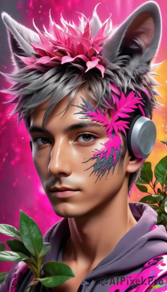 solo,looking at viewer,short hair,black hair,hair ornament,1boy,animal ears,brown eyes,closed mouth,upper body,flower,grey hair,male focus,multicolored hair,cat ears,signature,hair flower,hood,lips,eyelashes,hoodie,headphones,leaf,pink background,hood down,plant,portrait,realistic,nose,grey hoodie,paint splatter,holding,paint