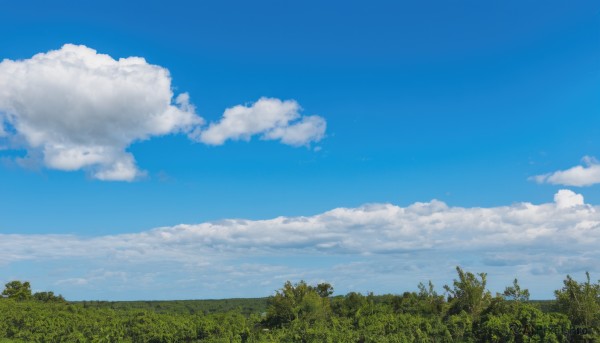 The elegance of a landscape in a tranquil day