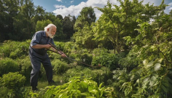 solo,shirt,1boy,holding,standing,weapon,flower,white hair,male focus,outdoors,sky,day,pants,cloud,holding weapon,tree,gun,military,facial hair,cloudy sky,blue shirt,holding gun,nature,scenery,rifle,beard,sleeves rolled up,forest,mustache,bald,old,old man,aiming,closed eyes,short sleeves,collared shirt,blue sky,profile,leaning forward,leaf,grass,plant,realistic