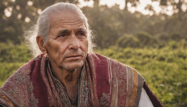 solo,1boy,brown eyes,closed mouth,upper body,white hair,grey hair,male focus,outdoors,day,blurry,depth of field,blurry background,facial hair,scar,chinese clothes,portrait,beard,realistic,old,old man,old woman,wrinkled skin,black eyes,grey eyes