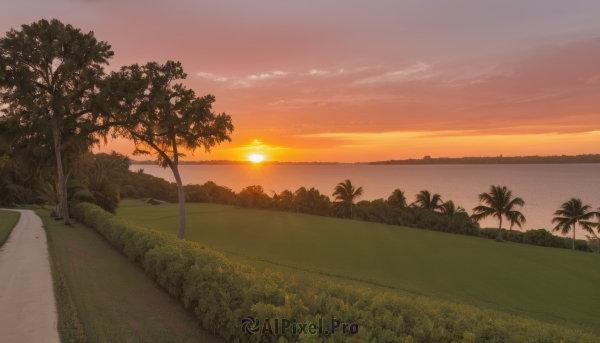 outdoors,sky,cloud,tree,no humans,ocean,beach,cloudy sky,grass,plant,nature,scenery,sunset,palm tree,sun,horizon,road,bush,evening,landscape,gradient sky,orange sky,path,hill,red sky,water,forest,sand,field,shore