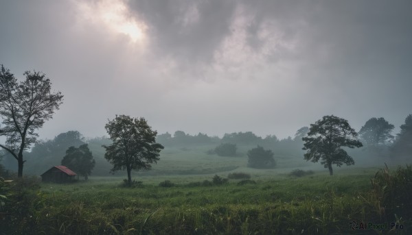 Image of a landscape in a peaceful day