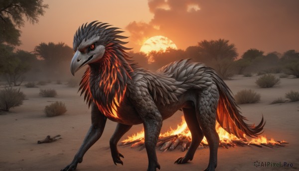 solo,red eyes,standing,tail,full body,outdoors,sky,cloud,tree,pokemon (creature),no humans,moon,fire,claws,sunset,monster,sun,scales,orange sky,looking at viewer,bird,nature