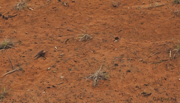 outdoors,tree,no humans,bird,from above,traditional media,grass,nature,scenery,signature,aircraft,sand,airplane,road,vehicle focus,desert,footprints