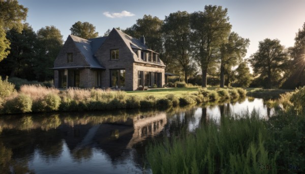 The elegance of a landscape in a tranquil day