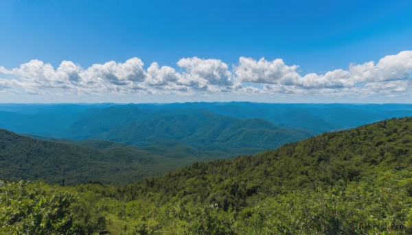 outdoors,sky,day,cloud,tree,blue sky,no humans,traditional media,cloudy sky,grass,nature,scenery,forest,mountain,horizon,field,landscape,mountainous horizon,hill,ocean