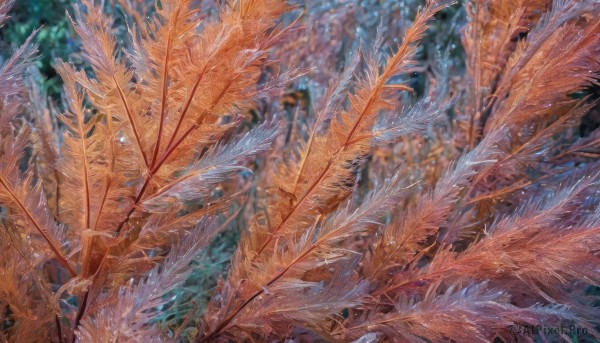 Image of a abstract in a peaceful background
