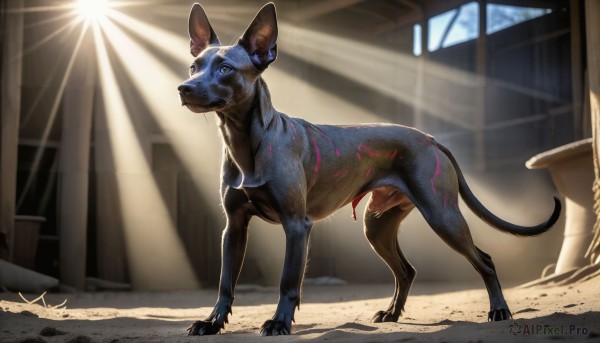 HQ,solo,blue eyes,standing,tail,full body,day,indoors,signature,no humans,window,animal,sunlight,claws,light rays,realistic,sunbeam,animal focus,mouse,blood,dog,pillar,spotlight