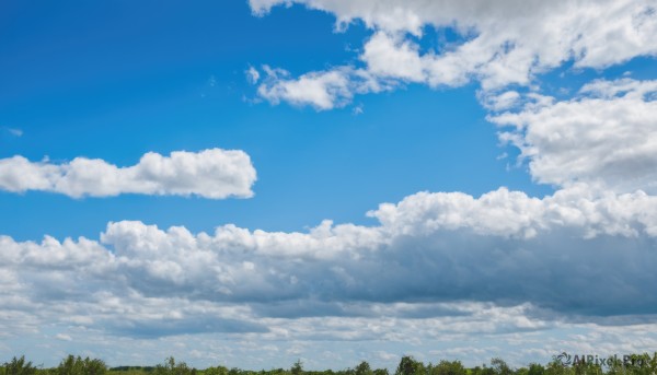 outdoors,sky,day,cloud,tree,blue sky,no humans,cloudy sky,nature,scenery,forest,blue theme,grass