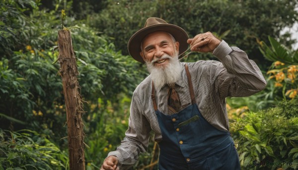 solo,smile,shirt,long sleeves,1boy,hat,holding,jewelry,standing,closed eyes,white shirt,white hair,grey hair,male focus,outdoors,day,collared shirt,hand up,blurry,tree,blurry background,facial hair,ring,plant,nature,facing viewer,grey shirt,beard,realistic,mustache,brown headwear,overalls,old,old man,photo background,garden,brown necktie,blue overalls,upper body,flower,necktie,striped,depth of field,forest,striped shirt,wooden fence