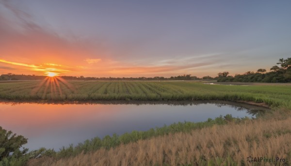 A graceful view of a landscape in sunset outdoors