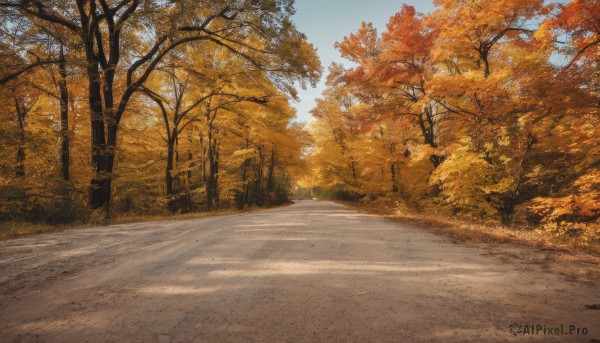 outdoors,sky,day,cloud,tree,blue sky,no humans,grass,nature,scenery,forest,road,autumn leaves,lamppost,street,autumn,path,leaf,realistic,landscape