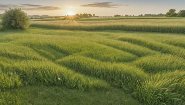 A unique view of a landscape in sunset day