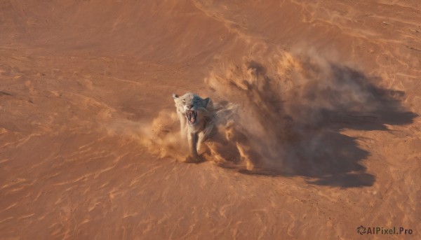 solo,teeth,no humans,animal,fire,smoke,brown background,realistic,sand,wolf,brown theme,desert,dust,open mouth,standing,full body,outdoors,pokemon (creature),shadow,beach,sharp teeth,walking,running,dog,bear,footprints