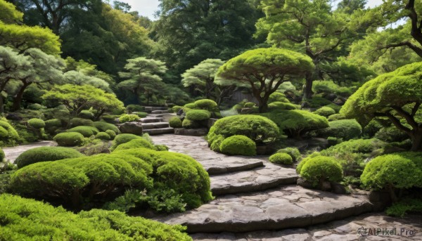 outdoors,sky,day,tree,no humans,sunlight,grass,nature,scenery,forest,rock,stairs,road,bush,path,moss,cloud,blue sky,plant,green theme,landscape