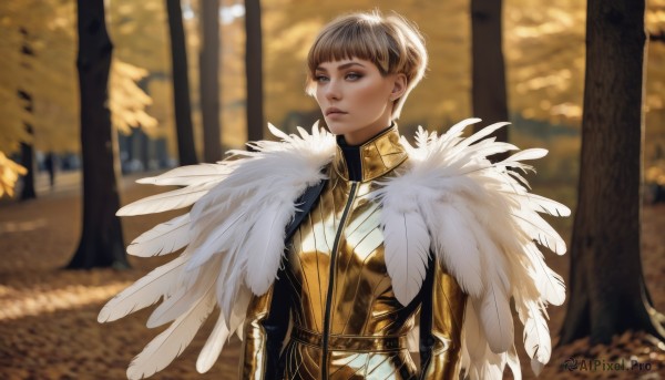 1girl,solo,short hair,bangs,blue eyes,brown hair,closed mouth,upper body,outdoors,belt,armor,blurry,tree,lips,looking to the side,grey eyes,blurry background,looking away,feathers,shoulder armor,nature,forest,breastplate,very short hair,feather trim,looking at viewer,blonde hair,standing,blunt bangs,cape,leaf,gold trim,autumn leaves,autumn