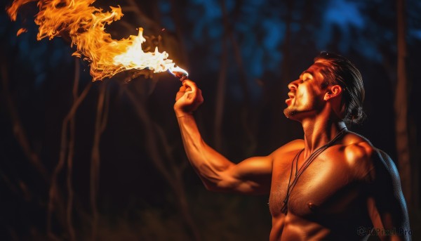 solo,open mouth,black hair,1boy,jewelry,nipples,closed eyes,upper body,male focus,nude,dark skin,necklace,blurry,tree,muscular,facial hair,dark-skinned male,fire,nature,forest,topless male,realistic,chest hair,burning,short hair,brown hair,outdoors,hand up,hair bun,from side,profile,night,blurry background,single hair bun,looking up,pectorals,muscular male,bara,beard,large pectorals,mature male,stubble,dark,flame,hairy