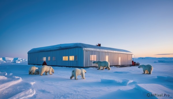 outdoors,sky,day,water,blue sky,no humans,window,shadow,animal,building,scenery,snow,dog,mountain,door,road,house,winter,footprints,bird,ocean,sunset,horizon,sunrise