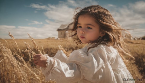 1girl,solo,long hair,blue eyes,brown hair,shirt,long sleeves,dress,holding,closed mouth,white shirt,upper body,outdoors,sky,day,puffy sleeves,cloud,white dress,blurry,blue sky,lips,depth of field,blurry background,cloudy sky,wind,child,puffy long sleeves,realistic,nose,wheat,windmill,parted lips,scenery,field