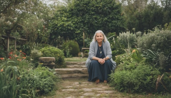 solo,looking at viewer,smile,1boy,jewelry,sitting,flower,white hair,male focus,outdoors,japanese clothes,barefoot,day,necklace,blurry,tree,facial hair,sandals,own hands together,grass,plant,nature,scenery,beard,forest,stairs,bench,bush,old,old man,old woman,1girl,long hair,dress,black eyes,bracelet,blue dress,squatting,ring,realistic,wide shot,garden,wrinkled skin