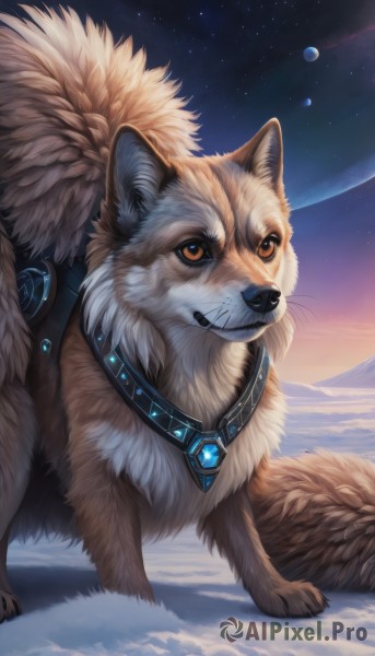 solo,brown eyes,full body,outdoors,sky,signature,collar,orange eyes,no humans,night,animal,moon,gem,star (sky),night sky,snow,starry sky,dog,realistic,animal focus,fluffy,jewelry,artist name,necklace,web address,space,planet