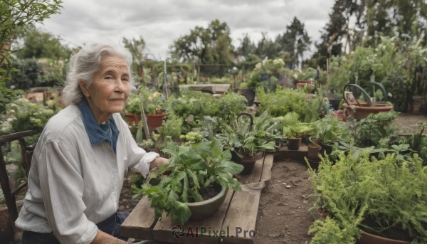 1girl,solo,smile,shirt,1boy,sitting,closed eyes,white shirt,upper body,white hair,grey hair,male focus,outdoors,sky,day,cloud,apron,tree,chair,table,cloudy sky,plant,scenery,realistic,basket,potted plant,house,old,old man,old woman,garden,wrinkled skin,looking at viewer,short hair,long sleeves,flower,blurry,ground vehicle,bicycle