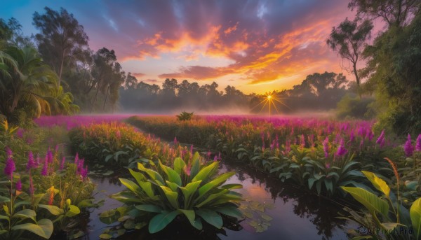 The beauty of a landscape set in a enchanting sunset outdoors