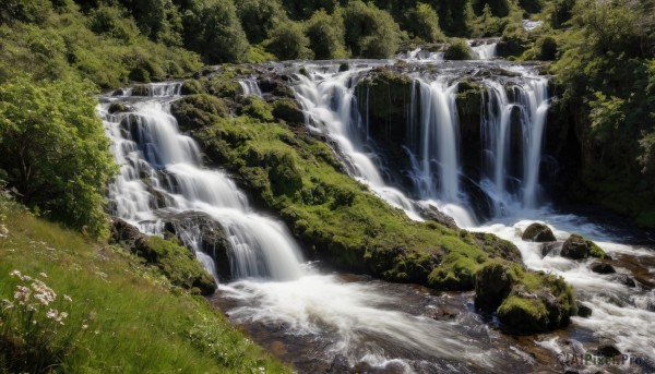 flower,outdoors,day,water,tree,no humans,grass,plant,nature,scenery,forest,rock,river,waterfall,landscape,moss,stream,sunlight,bush