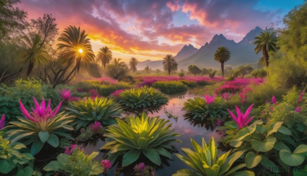 flower, outdoors, sky, cloud, tree, no humans, cloudy sky, grass, plant, nature, scenery, sunset, mountain