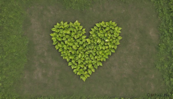 outdoors,day,tree,no humans,leaf,traditional media,grass,plant,nature,scenery,bush,green theme,from above,sunlight,green background