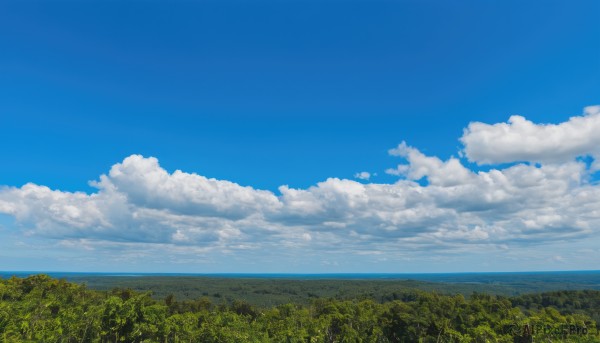 outdoors,sky,day,cloud,water,tree,blue sky,no humans,ocean,cloudy sky,grass,nature,scenery,forest,horizon,field,summer,landscape,signature