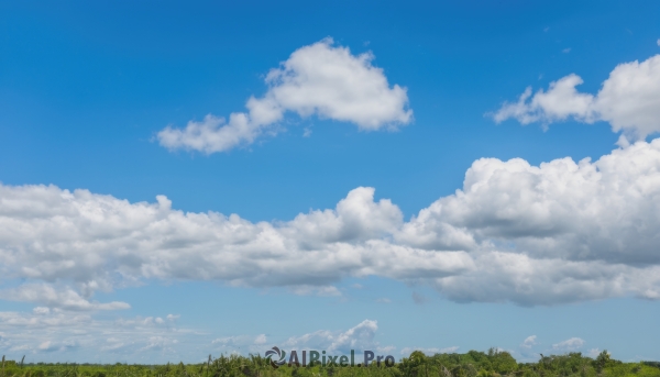 outdoors,sky,day,cloud,tree,blue sky,no humans,cloudy sky,grass,nature,scenery,forest,landscape