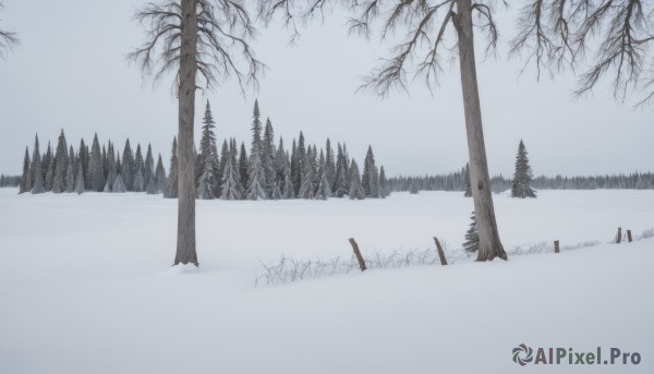 A landscape set against the backdrop of a captivating snowy day