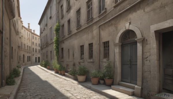 The charm of a street in a bold day