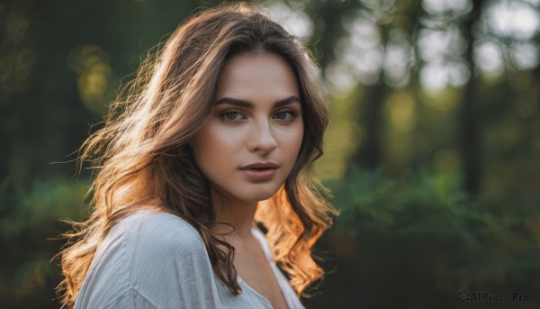 A delightful capture of a female within day